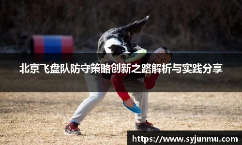 北京飞盘队防守策略创新之路解析与实践分享